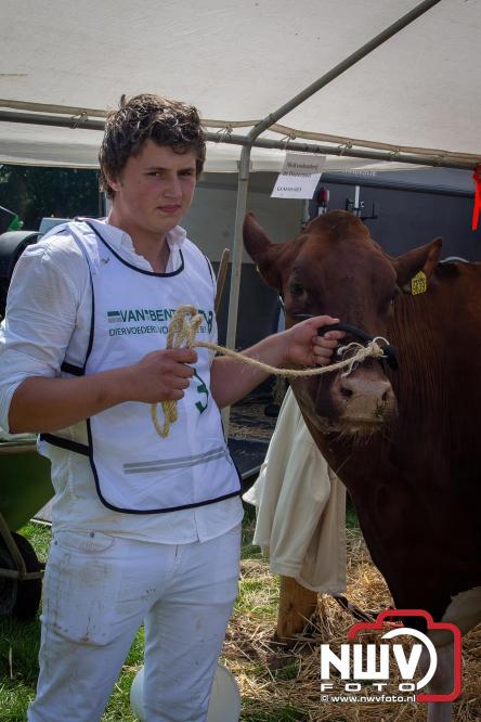 Oogstfeest en Fokveedag in Oldebroek: Een dag vol nostalgie en plattelandsplezier voor alle generaties. - © NWVFoto.nl