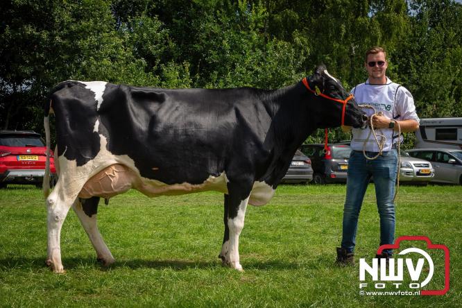 Oogstfeest en Fokveedag in Oldebroek: Een dag vol nostalgie en plattelandsplezier voor alle generaties. - © NWVFoto.nl