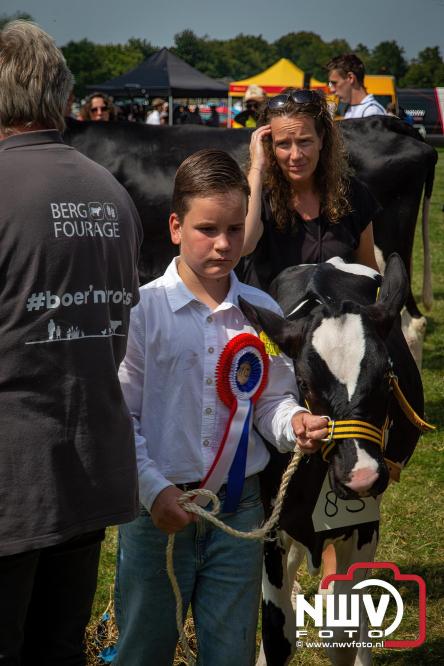 Oogstfeest en Fokveedag in Oldebroek: Een dag vol nostalgie en plattelandsplezier voor alle generaties. - © NWVFoto.nl