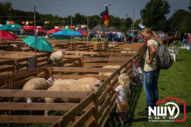 Oogstfeest en Fokveedag in Oldebroek: Een dag vol nostalgie en plattelandsplezier voor alle generaties. - © NWVFoto.nl