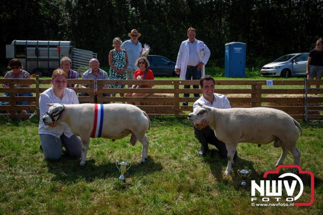 Oogstfeest en Fokveedag in Oldebroek: Een dag vol nostalgie en plattelandsplezier voor alle generaties. - © NWVFoto.nl