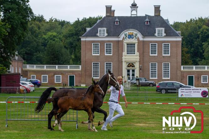 Paardensporttraditie: 80 jaar Fokdag en Concours op Landgoed Zwaluwenburg 't Harde. - © NWVFoto.nl