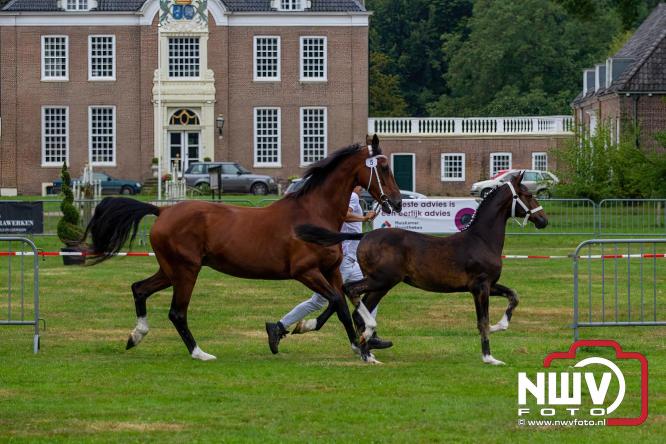 Paardensporttraditie: 80 jaar Fokdag en Concours op Landgoed Zwaluwenburg 't Harde. - © NWVFoto.nl