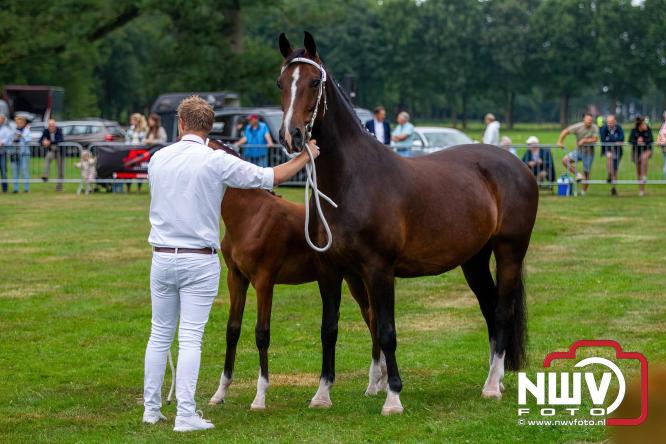 Paardensporttraditie: 80 jaar Fokdag en Concours op Landgoed Zwaluwenburg 't Harde. - © NWVFoto.nl
