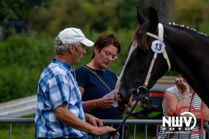 Paardensporttraditie: 80 jaar Fokdag en Concours op Landgoed Zwaluwenburg 't Harde. - © NWVFoto.nl
