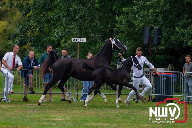 Paardensporttraditie: 80 jaar Fokdag en Concours op Landgoed Zwaluwenburg 't Harde. - © NWVFoto.nl