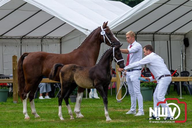 Paardensporttraditie: 80 jaar Fokdag en Concours op Landgoed Zwaluwenburg 't Harde. - © NWVFoto.nl