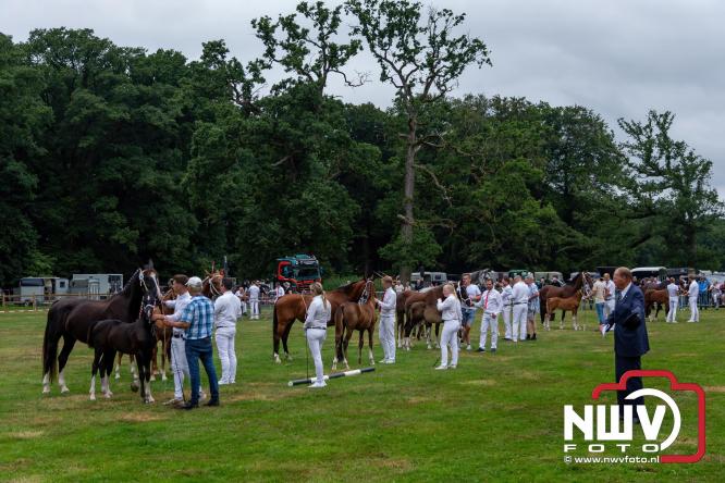 Paardensporttraditie: 80 jaar Fokdag en Concours op Landgoed Zwaluwenburg 't Harde. - © NWVFoto.nl