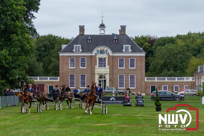 Paardensporttraditie: 80 jaar Fokdag en Concours op Landgoed Zwaluwenburg 't Harde. - © NWVFoto.nl