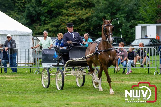 Paardensporttraditie: 80 jaar Fokdag en Concours op Landgoed Zwaluwenburg 't Harde. - © NWVFoto.nl