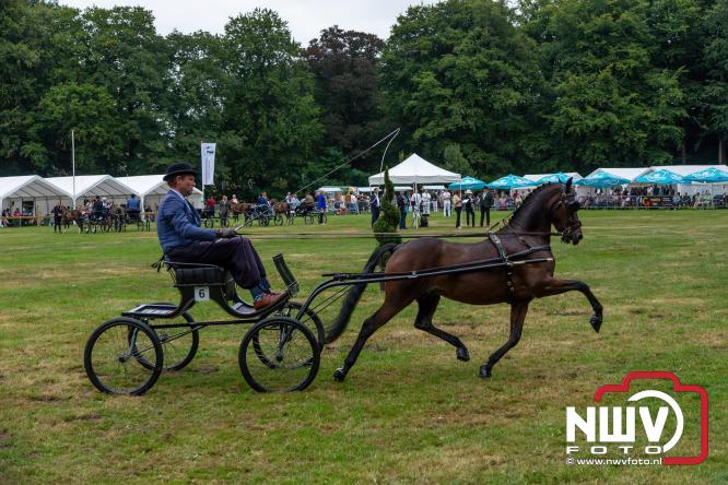 Paardensporttraditie: 80 jaar Fokdag en Concours op Landgoed Zwaluwenburg 't Harde. - © NWVFoto.nl
