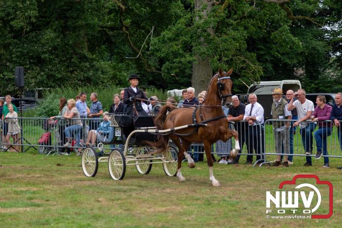 Paardensporttraditie: 80 jaar Fokdag en Concours op Landgoed Zwaluwenburg 't Harde. - © NWVFoto.nl