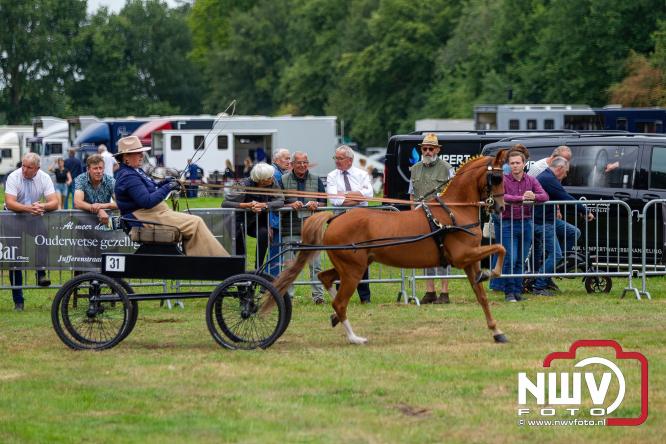 Paardensporttraditie: 80 jaar Fokdag en Concours op Landgoed Zwaluwenburg 't Harde. - © NWVFoto.nl