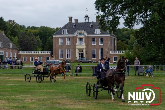 Paardensporttraditie: 80 jaar Fokdag en Concours op Landgoed Zwaluwenburg 't Harde. - © NWVFoto.nl