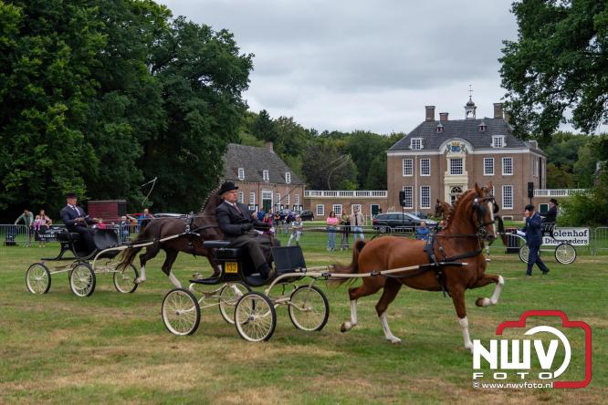 Paardensporttraditie: 80 jaar Fokdag en Concours op Landgoed Zwaluwenburg 't Harde. - © NWVFoto.nl