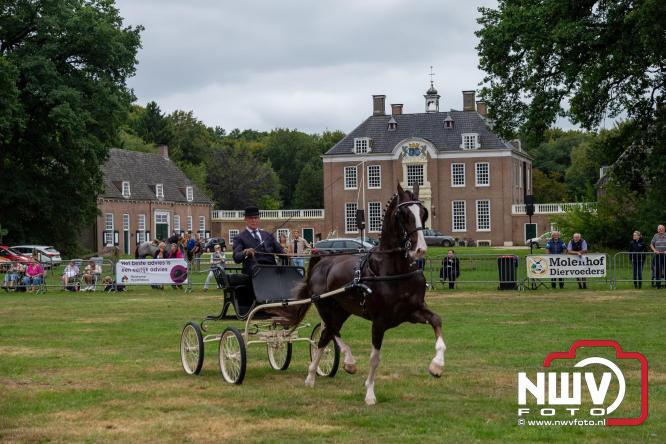 Paardensporttraditie: 80 jaar Fokdag en Concours op Landgoed Zwaluwenburg 't Harde. - © NWVFoto.nl