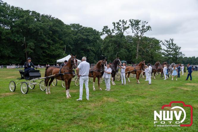 Paardensporttraditie: 80 jaar Fokdag en Concours op Landgoed Zwaluwenburg 't Harde. - © NWVFoto.nl
