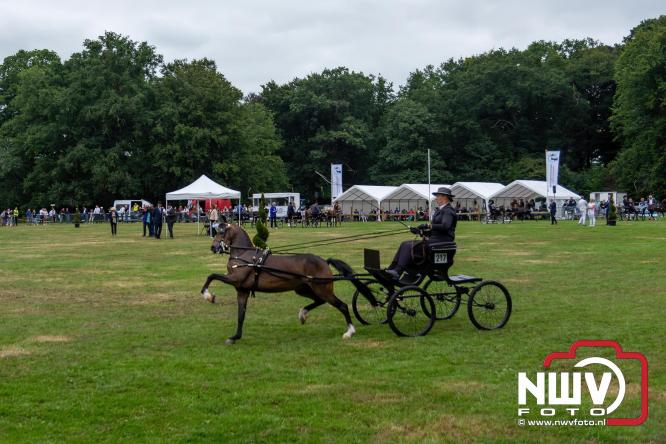 Paardensporttraditie: 80 jaar Fokdag en Concours op Landgoed Zwaluwenburg 't Harde. - © NWVFoto.nl