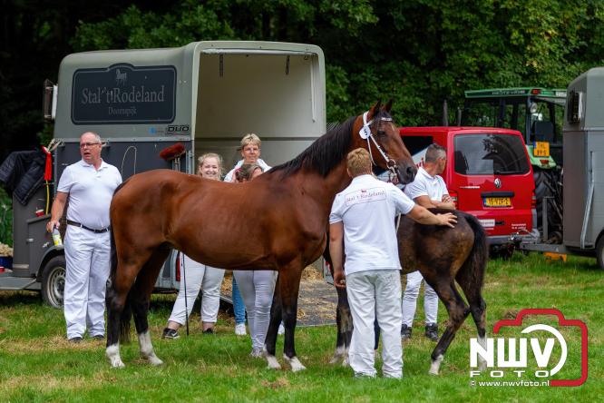 Paardensporttraditie: 80 jaar Fokdag en Concours op Landgoed Zwaluwenburg 't Harde. - © NWVFoto.nl