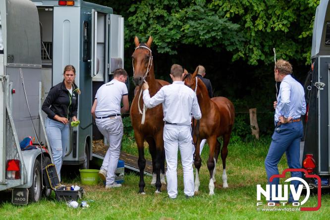 Paardensporttraditie: 80 jaar Fokdag en Concours op Landgoed Zwaluwenburg 't Harde. - © NWVFoto.nl
