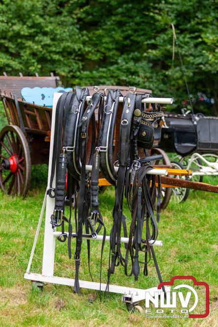 Paardensporttraditie: 80 jaar Fokdag en Concours op Landgoed Zwaluwenburg 't Harde. - © NWVFoto.nl