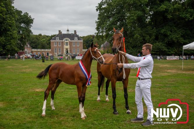 Paardensporttraditie: 80 jaar Fokdag en Concours op Landgoed Zwaluwenburg 't Harde. - © NWVFoto.nl
