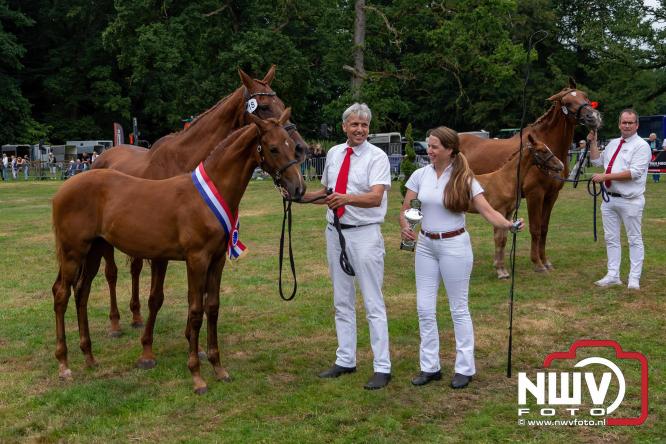 Paardensporttraditie: 80 jaar Fokdag en Concours op Landgoed Zwaluwenburg 't Harde. - © NWVFoto.nl