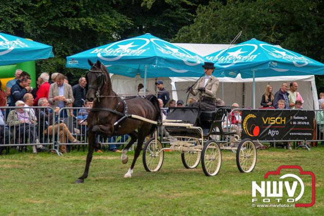 Paardensporttraditie: 80 jaar Fokdag en Concours op Landgoed Zwaluwenburg 't Harde. - © NWVFoto.nl