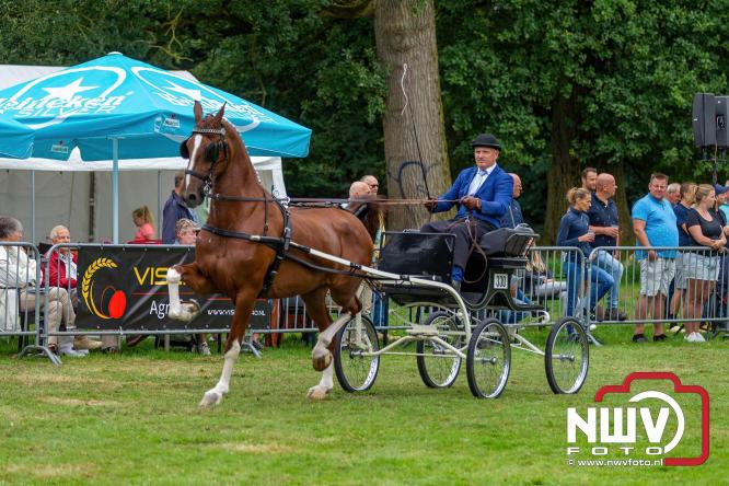 Paardensporttraditie: 80 jaar Fokdag en Concours op Landgoed Zwaluwenburg 't Harde. - © NWVFoto.nl