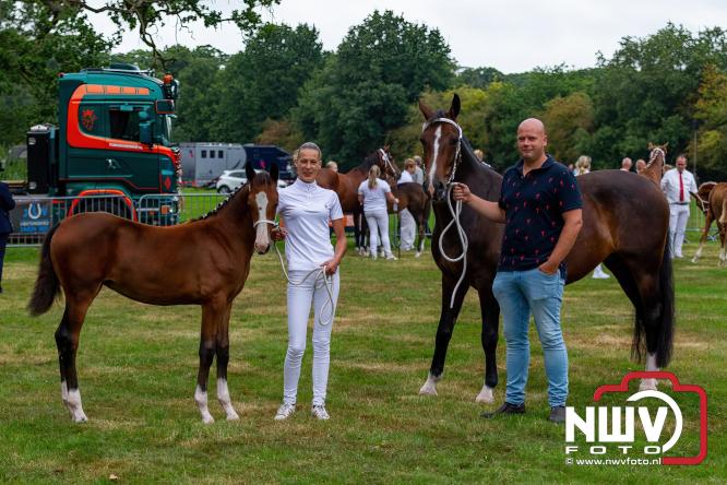 Paardensporttraditie: 80 jaar Fokdag en Concours op Landgoed Zwaluwenburg 't Harde. - © NWVFoto.nl