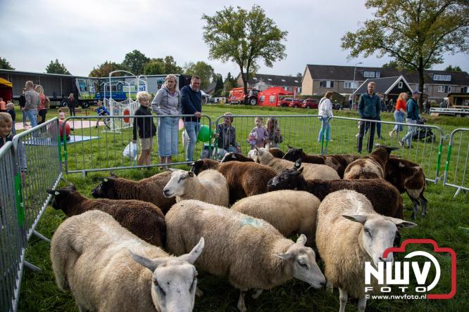 Zon, sfeer en kramen, Schapenmarkt Oldebroek 2025 - © NWVFoto.nl