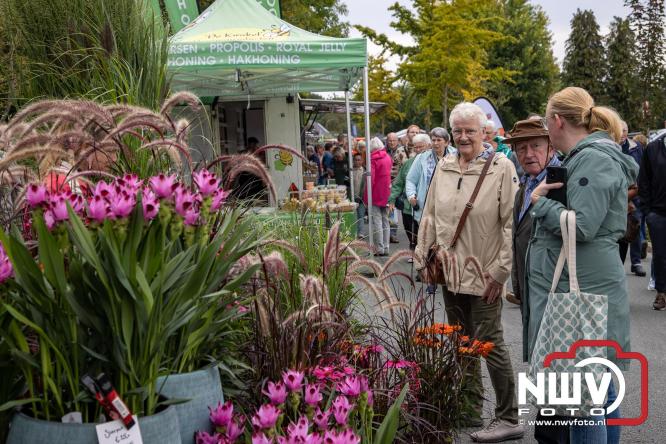 Zon, sfeer en kramen, Schapenmarkt Oldebroek 2025 - © NWVFoto.nl