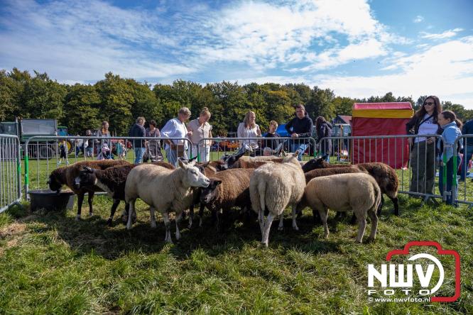 Zon, sfeer en kramen, Schapenmarkt Oldebroek 2025 - © NWVFoto.nl