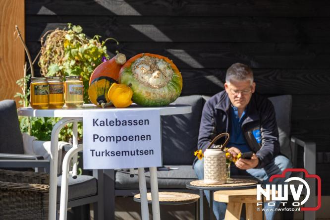 Zon, sfeer en kramen, Schapenmarkt Oldebroek 2025 - © NWVFoto.nl
