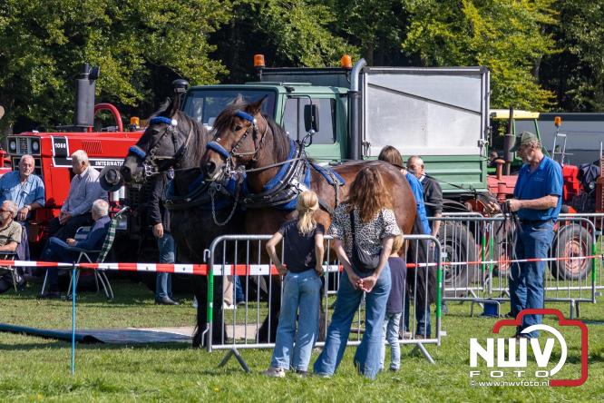 Zon, sfeer en kramen, Schapenmarkt Oldebroek 2025 - © NWVFoto.nl
