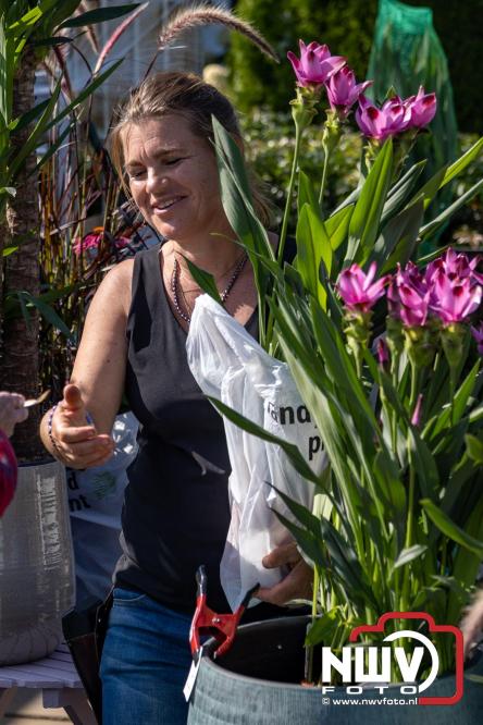 Zon, sfeer en kramen, Schapenmarkt Oldebroek 2025 - © NWVFoto.nl