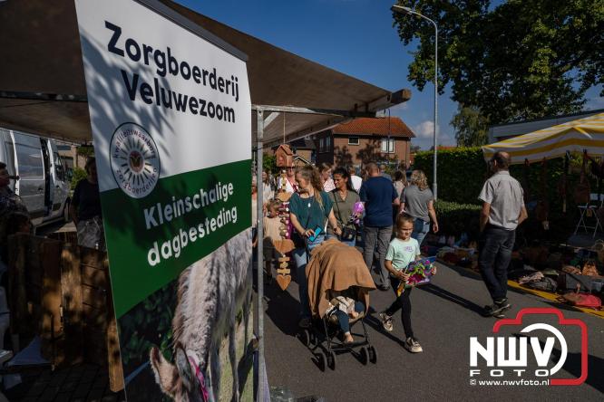 Zon, sfeer en kramen, Schapenmarkt Oldebroek 2025 - © NWVFoto.nl