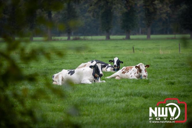 Run Oldebroek 2025 trekt opnieuw veel deelnemers die rennen voor het werk van GlobalRize. - © NWVFoto.nl