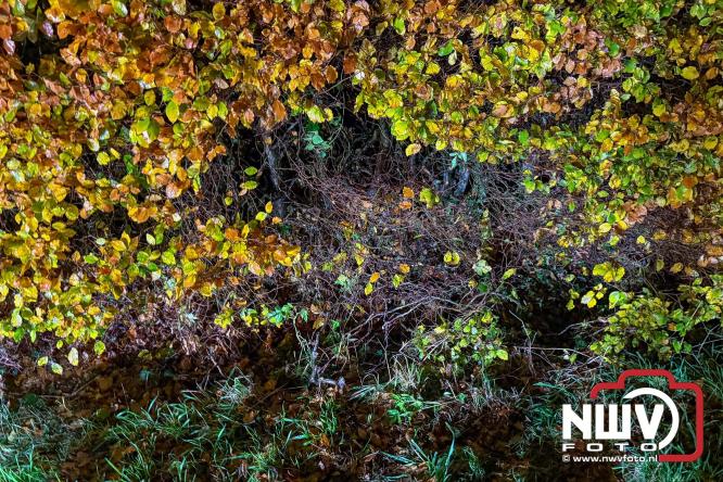 Aanrijding op Gerichtenweg in Elburg: weg tijdelijk afgesloten bestuurder onderzocht in ambulance. - © NWVFoto.nl