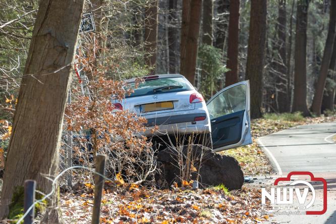 Bestuurder aangehouden na eenzijdig ongeval op Elburgerweg N309 hmp 44.6 Epe. - &copy; NWVFoto.nl