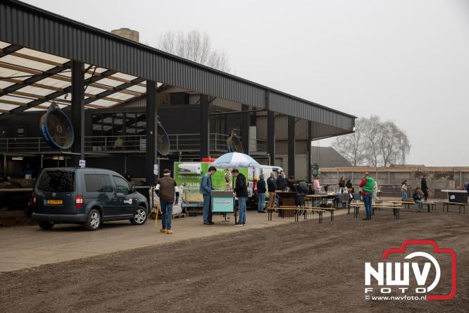 Lente,130 waterbuffels verruilen stal voor grasland, kinderen en volwassenen genieten van dit schouwspel in Doornspijk. - &copy; NWVFoto.nl