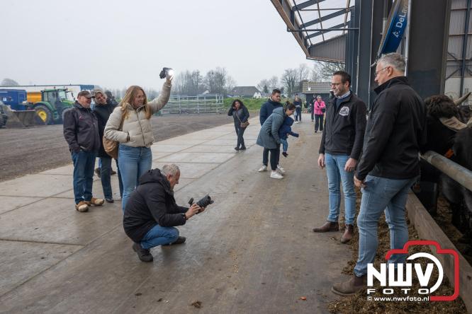 Lente,130 waterbuffels verruilen stal voor grasland, kinderen en volwassenen genieten van dit schouwspel in Doornspijk. - &copy; NWVFoto.nl