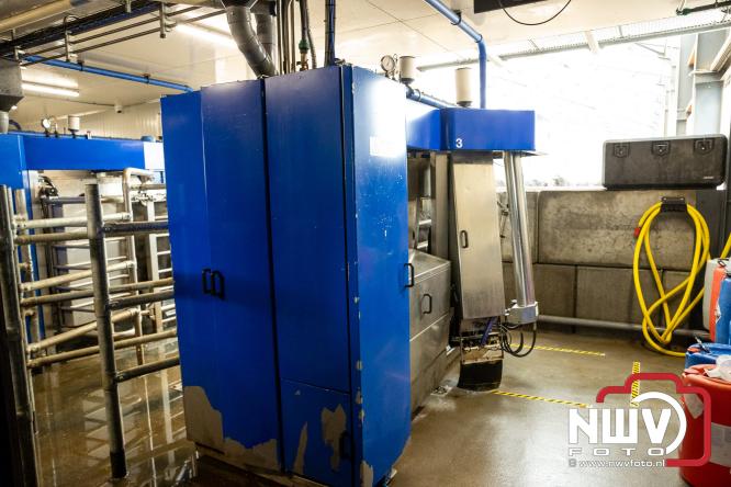 Lente,130 waterbuffels verruilen stal voor grasland, kinderen en volwassenen genieten van dit schouwspel in Doornspijk. - &copy; NWVFoto.nl