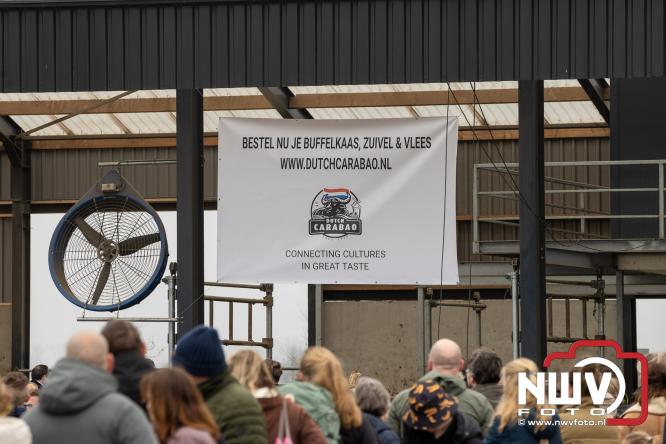 Lente,130 waterbuffels verruilen stal voor grasland, kinderen en volwassenen genieten van dit schouwspel in Doornspijk. - &copy; NWVFoto.nl