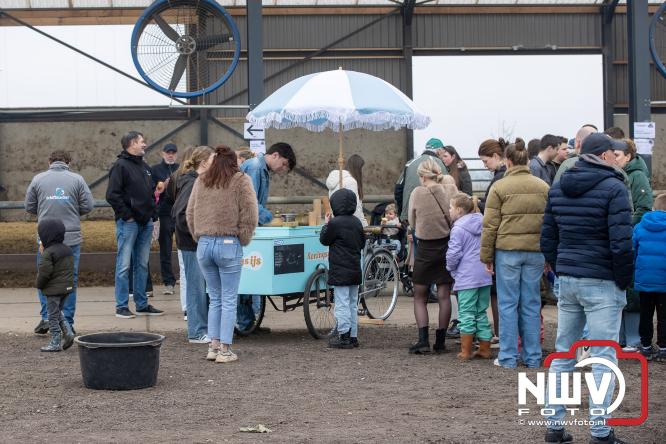 Lente,130 waterbuffels verruilen stal voor grasland, kinderen en volwassenen genieten van dit schouwspel in Doornspijk. - &copy; NWVFoto.nl