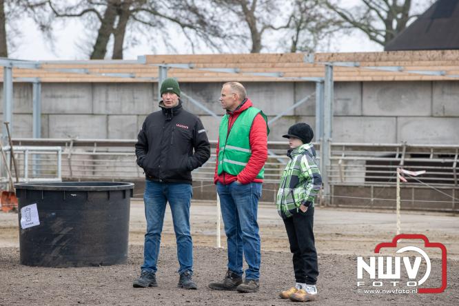 Lente,130 waterbuffels verruilen stal voor grasland, kinderen en volwassenen genieten van dit schouwspel in Doornspijk. - &copy; NWVFoto.nl