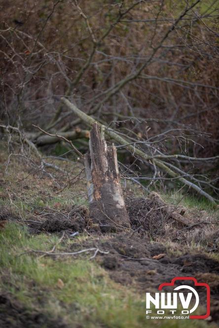 Traumahelikopter ingezet na zware crash tegen bomen aan de Paalbeekweg in Epe: bestuurder na uur bevrijd en met spoed naar ziekenhuis. - &copy; NWVFoto.nl