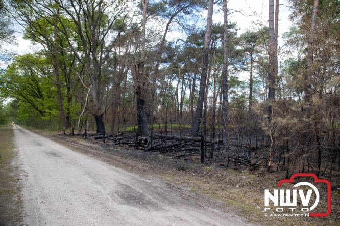Kleine natuurbrand op oude brand lokatie ASK Noorderweg Nunspeet - &copy; NWVFoto.nl