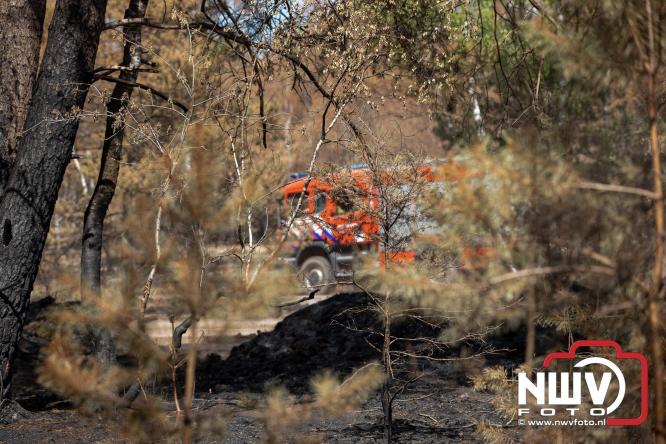 Kleine natuurbrand op oude brand lokatie ASK Noorderweg Nunspeet - &copy; NWVFoto.nl