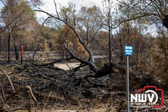 Kleine natuurbrand op oude brand lokatie ASK Noorderweg Nunspeet - &copy; NWVFoto.nl